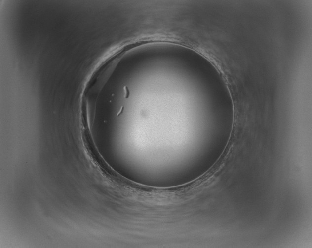 X0000070240008200606021142