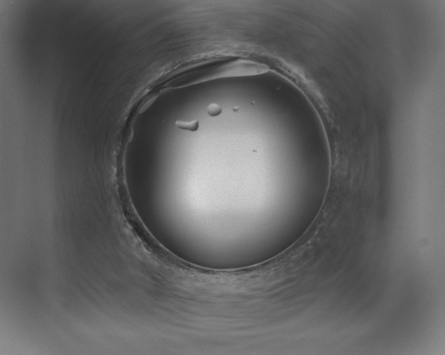 X0000070240010200606021142