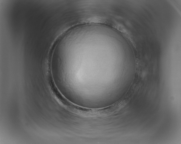 X0000070240012200606021142