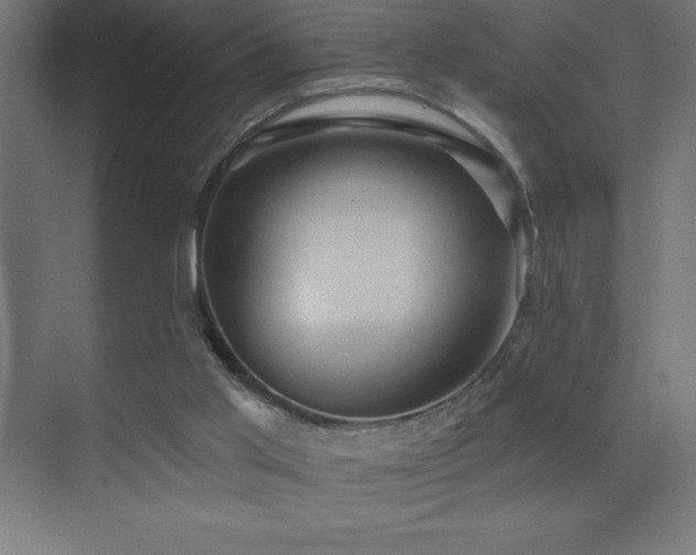 X0000070240013200606021142