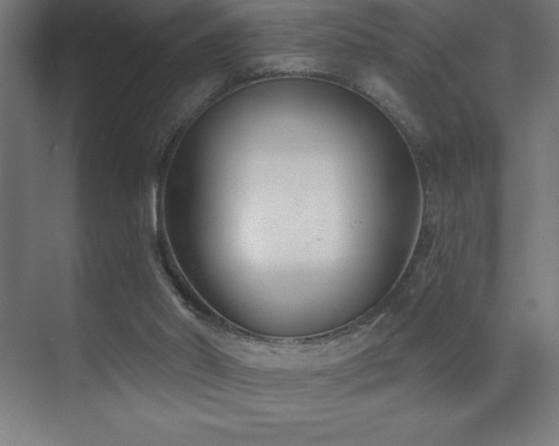 X0000070240014200606021142