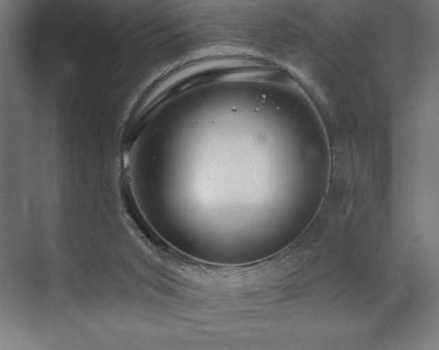 X0000070240015200606021142