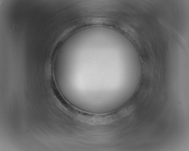 X0000070240016200606021142