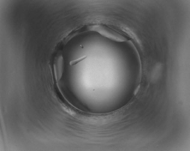 X0000070240017200606021142