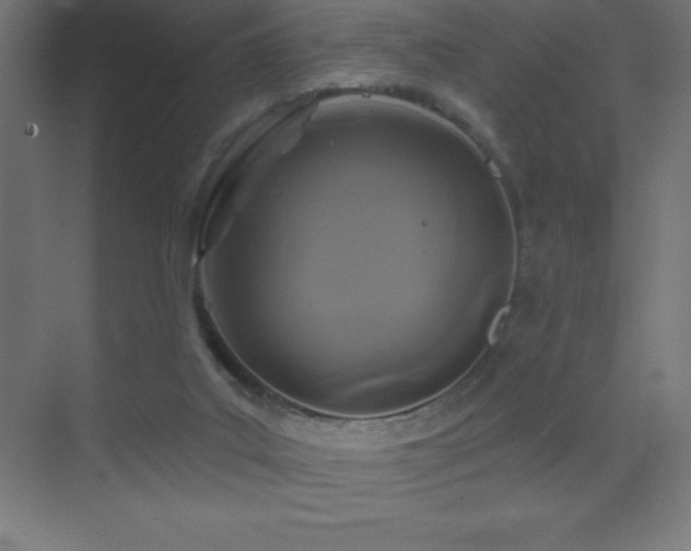 X0000070240019200606021142