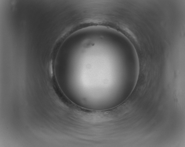 X0000070240020200606021142