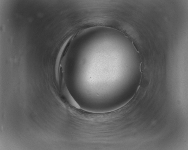 X0000070240021200606021142