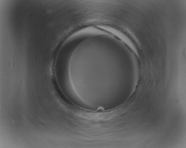 X0000070240023200606021142