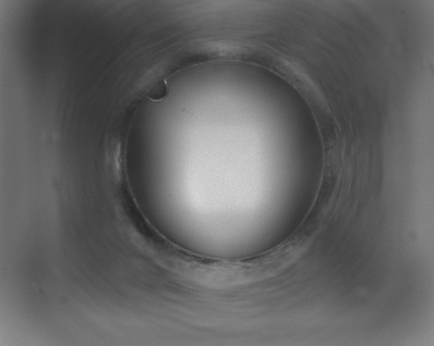 X0000070240024200606021141