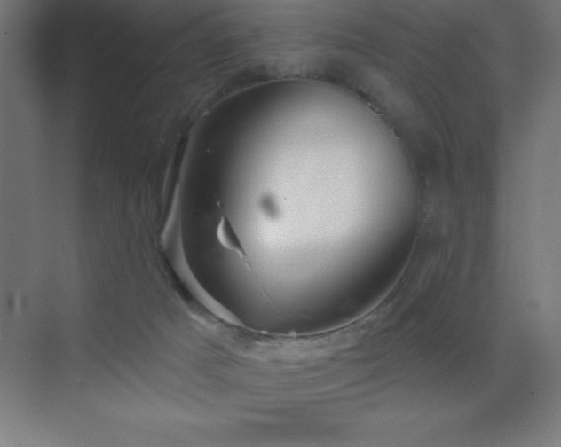 X0000070240025200606021141