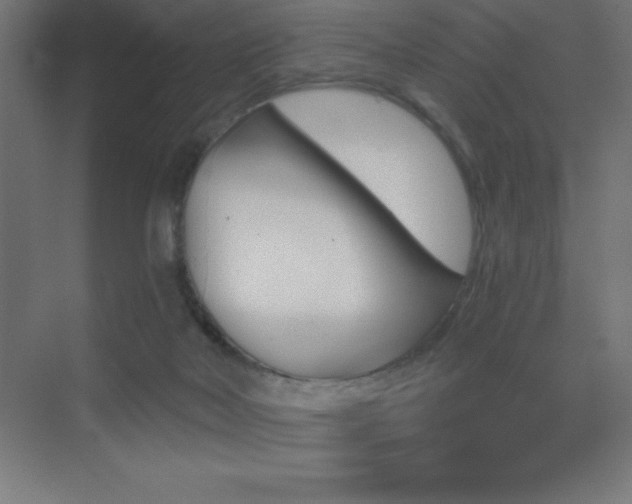 X0000070240026200606021141