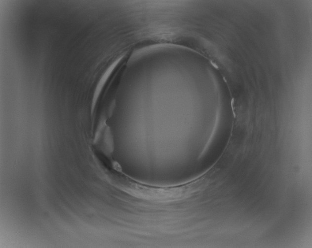 X0000070240027200606021141