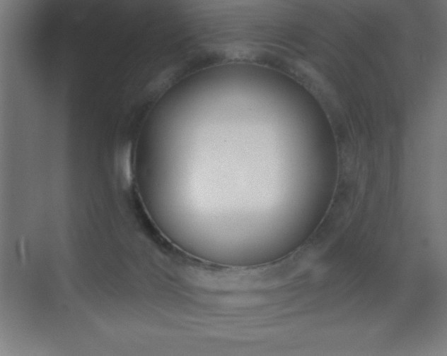 X0000070240028200606021141