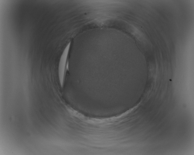 X0000070240029200606021141