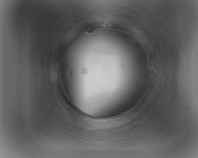 X0000070240030200606021141