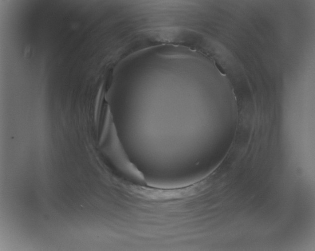 X0000070240031200606021141