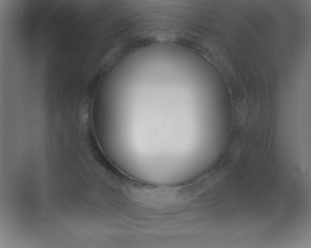 X0000070240032200606021141