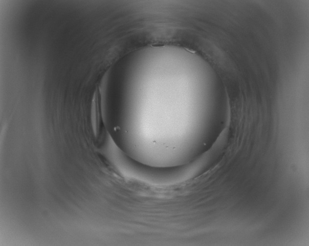 X0000070240033200606021141