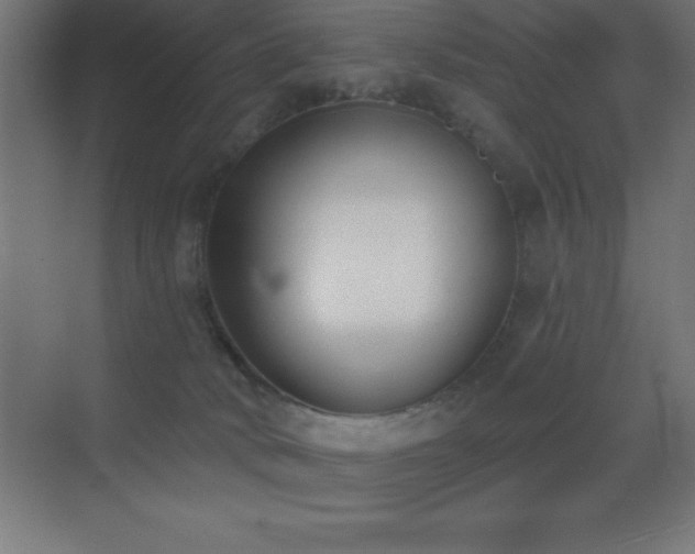 X0000070240034200606021141