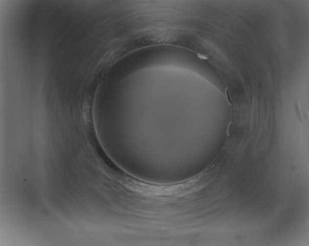 X0000070240035200606021141