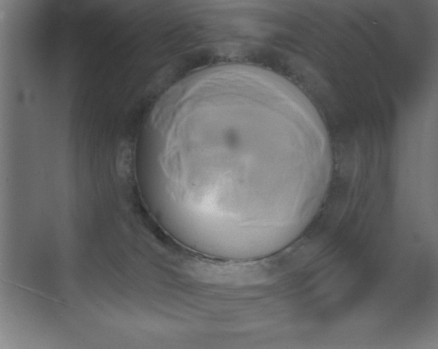 X0000070240036200606021141