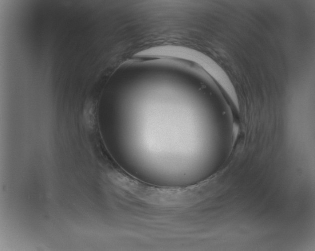 X0000070240037200606021141