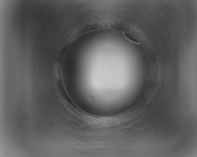 X0000070240038200606021141