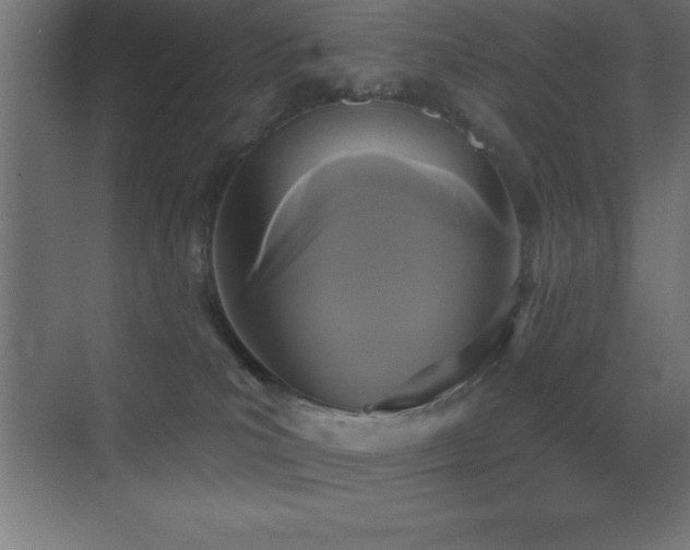 X0000070240039200606021141