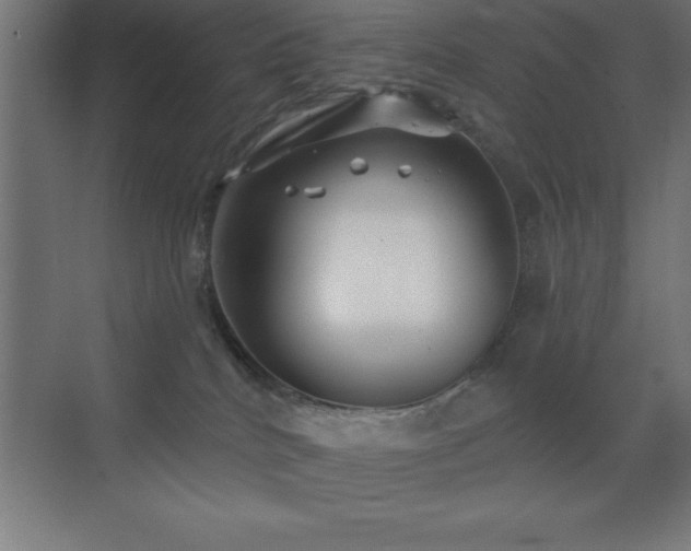 X0000070240040200606021141