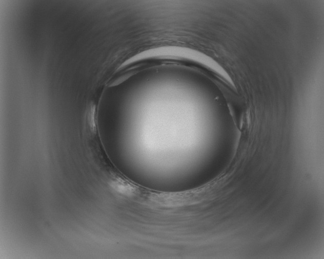 X0000070240041200606021141