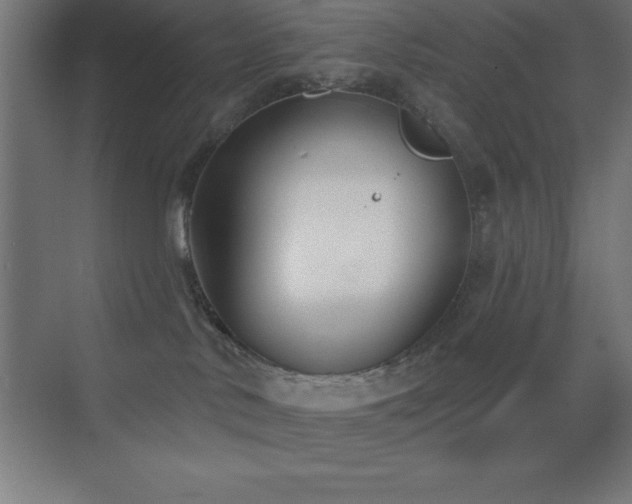 X0000070240042200606021141