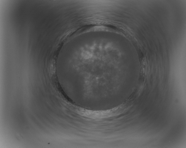 X0000070240043200606021141