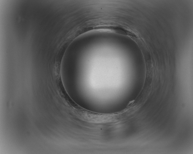 X0000070240044200606021141