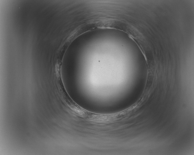 X0000070240045200606021141