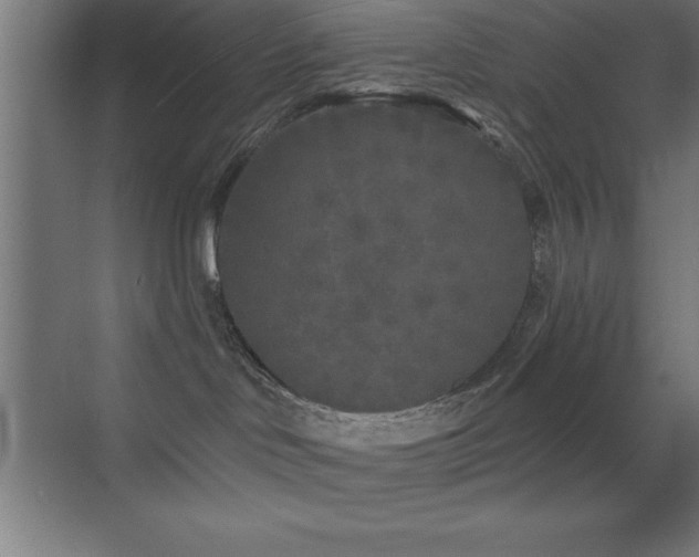 X0000070240046200606021141