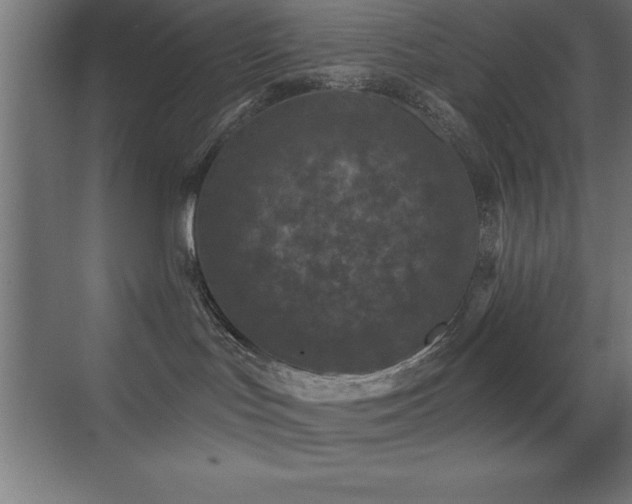 X0000070240047200606021141