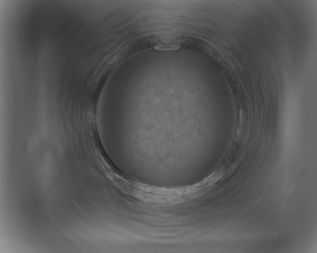 X0000070240048200606021141