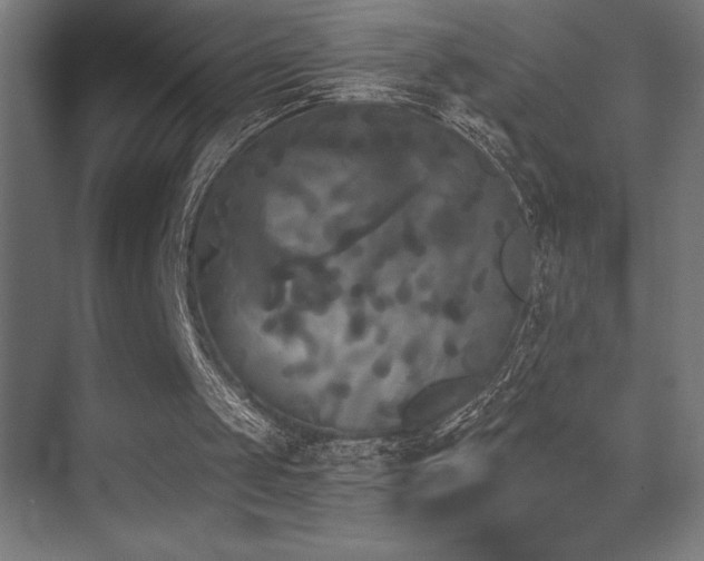 X0000070240049200606021140