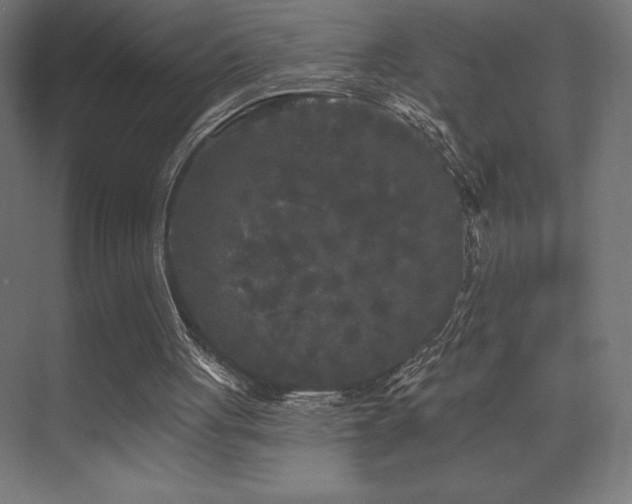 X0000070240051200606021140