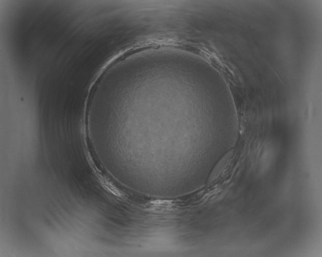 X0000070240052200606021140