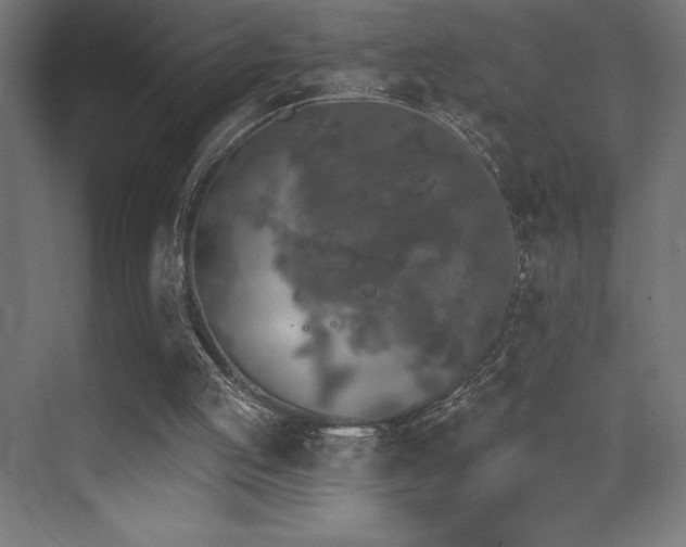 X0000070240053200606021140