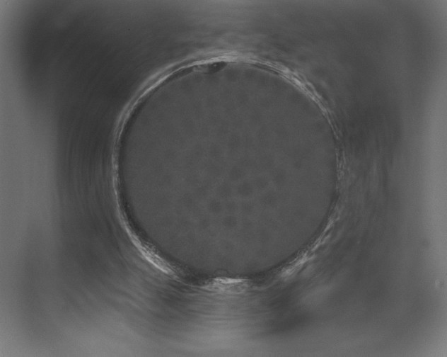 X0000070240055200606021140