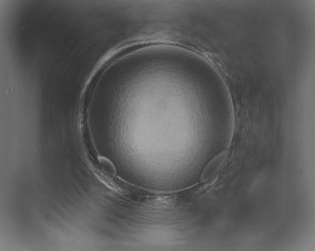 X0000070240056200606021140