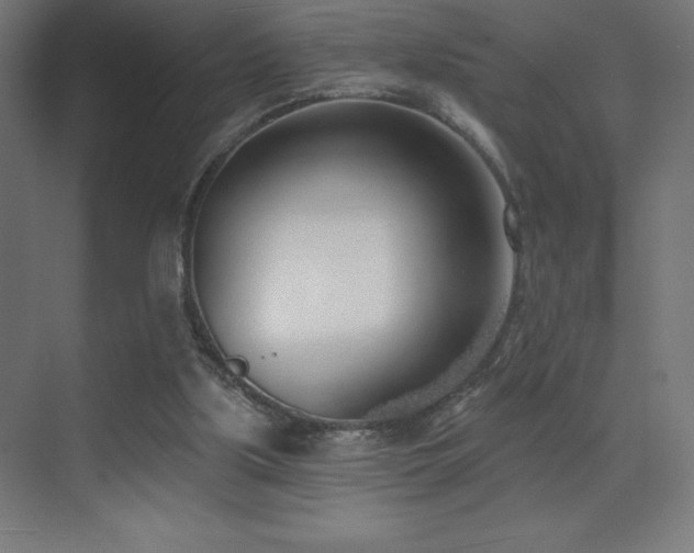 X0000070240059200606021140