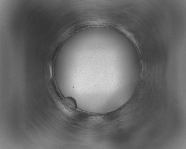 X0000070240061200606021140