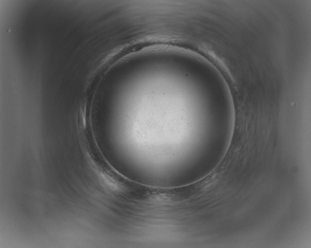 X0000070240062200606021140