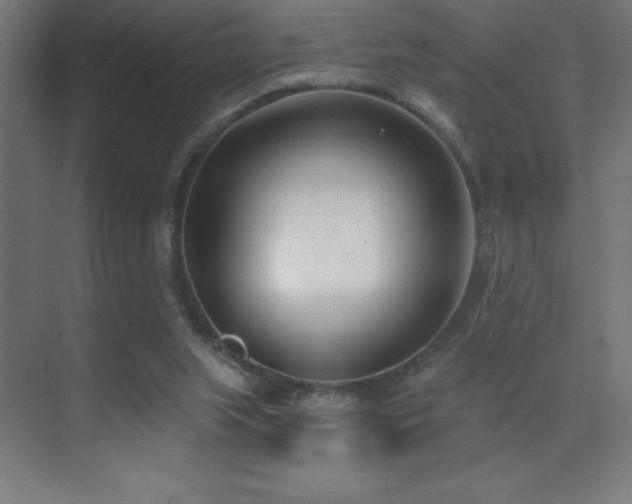 X0000070240063200606021141