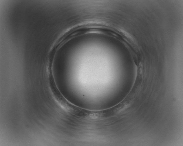 X0000070240064200606021141