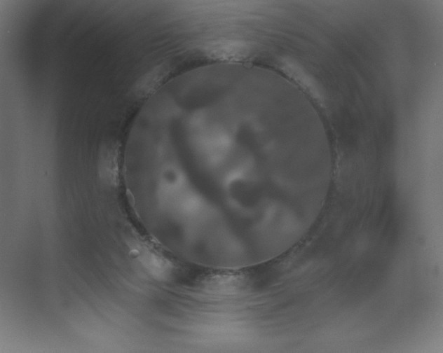 X0000070240065200606021141