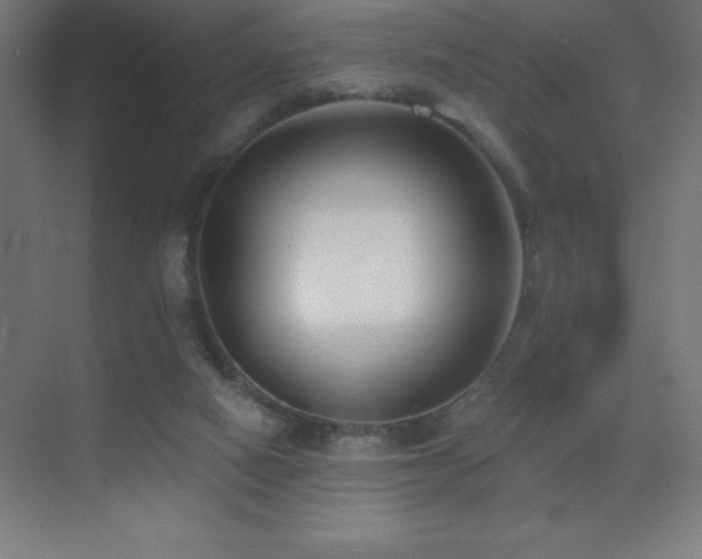 X0000070240066200606021141